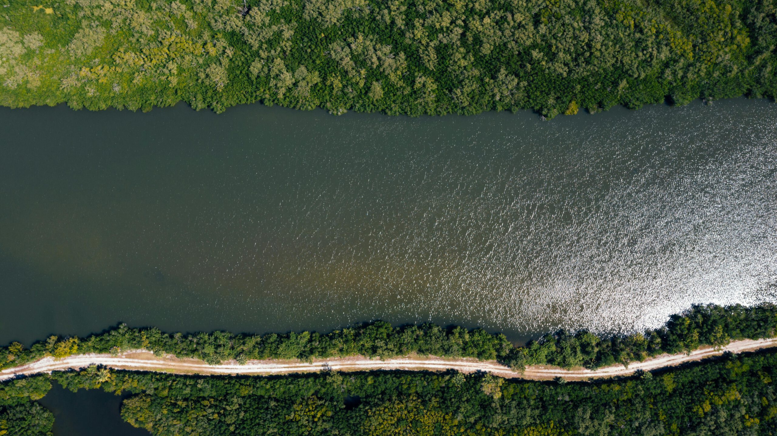 Neues Seniorenprogramm für September bis Dezember 2024